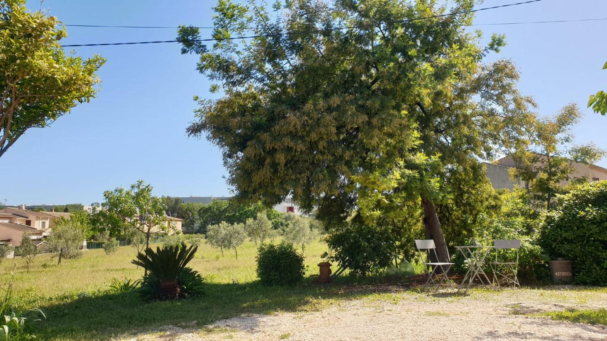 L'Oliveraie Hyeres Ngoại thất bức ảnh